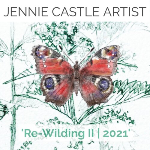 ‘Re-Wilding II | 2021’ - Artworks celebrating Irish Butterflies and Native host Plants